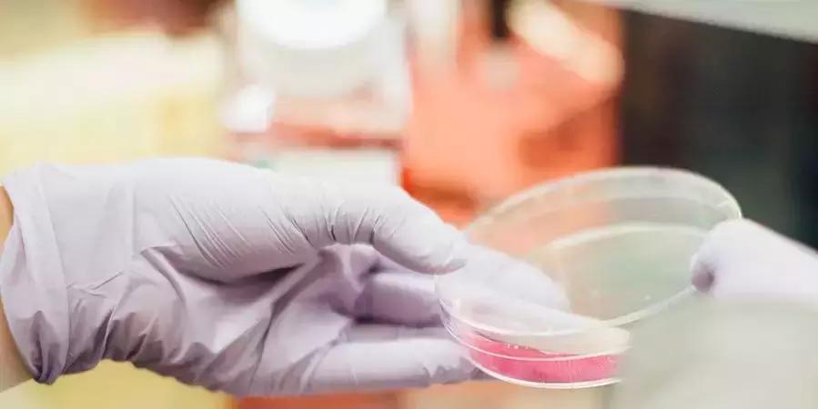 我不是药神印度药是真的吗,我不是药神为什么不能买印度的药