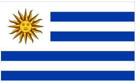 励步分享丨看世界杯，学习国家*旗国**英文名！让你摆脱“伪”球迷~