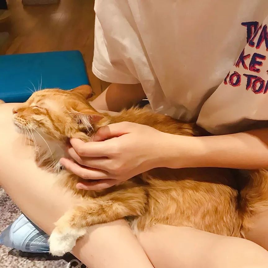 环境优雅又有情调的咖啡馆,五一必打卡意式咖啡厅推荐