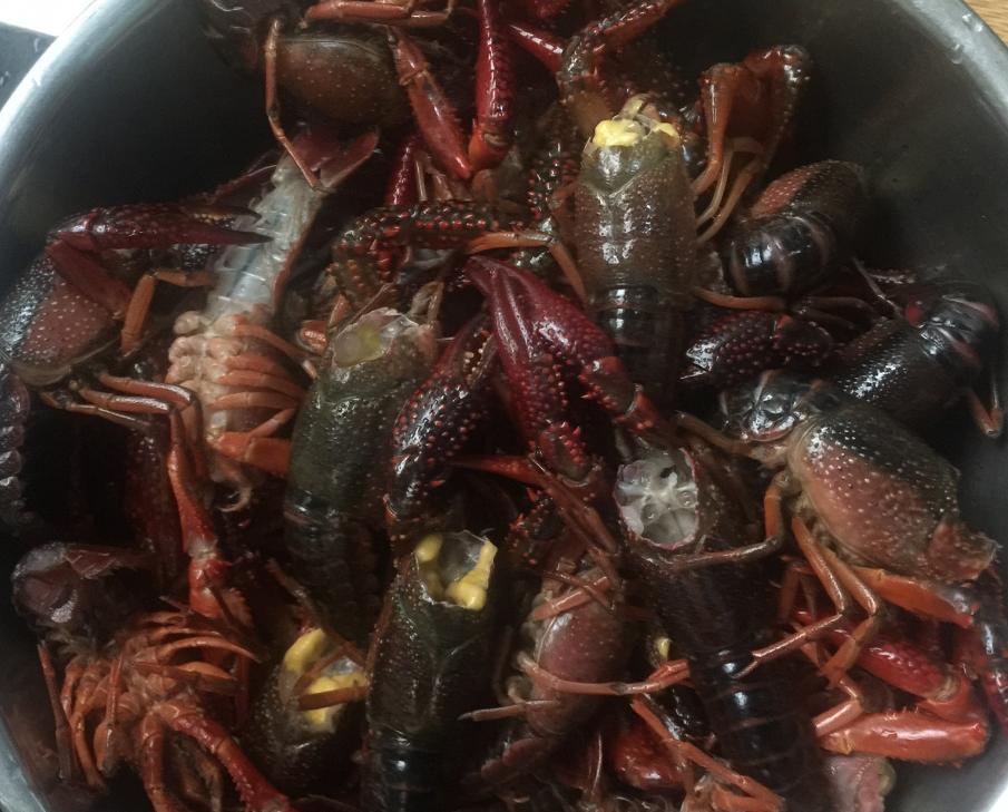 龙虾做法蒜蓉小龙虾,小龙虾的家常做法香辣蒜蓉龙虾