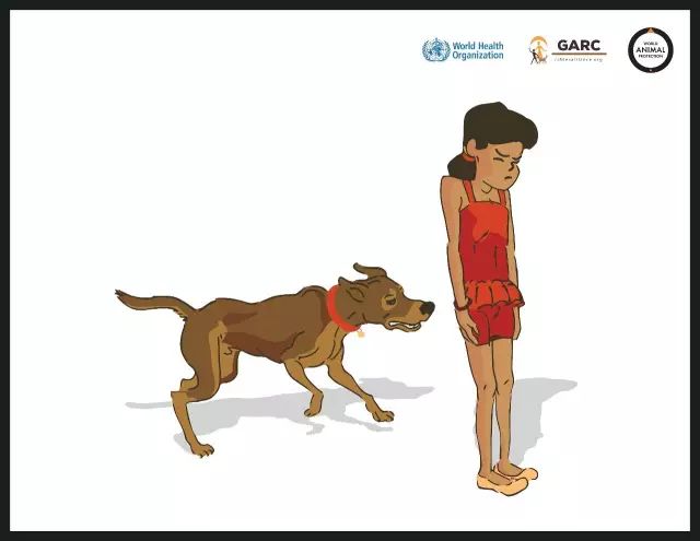 可怕!半岁宝宝被大狗叼走,头骨被咬穿,需做开颅手术!避免被狗咬应该这么做……