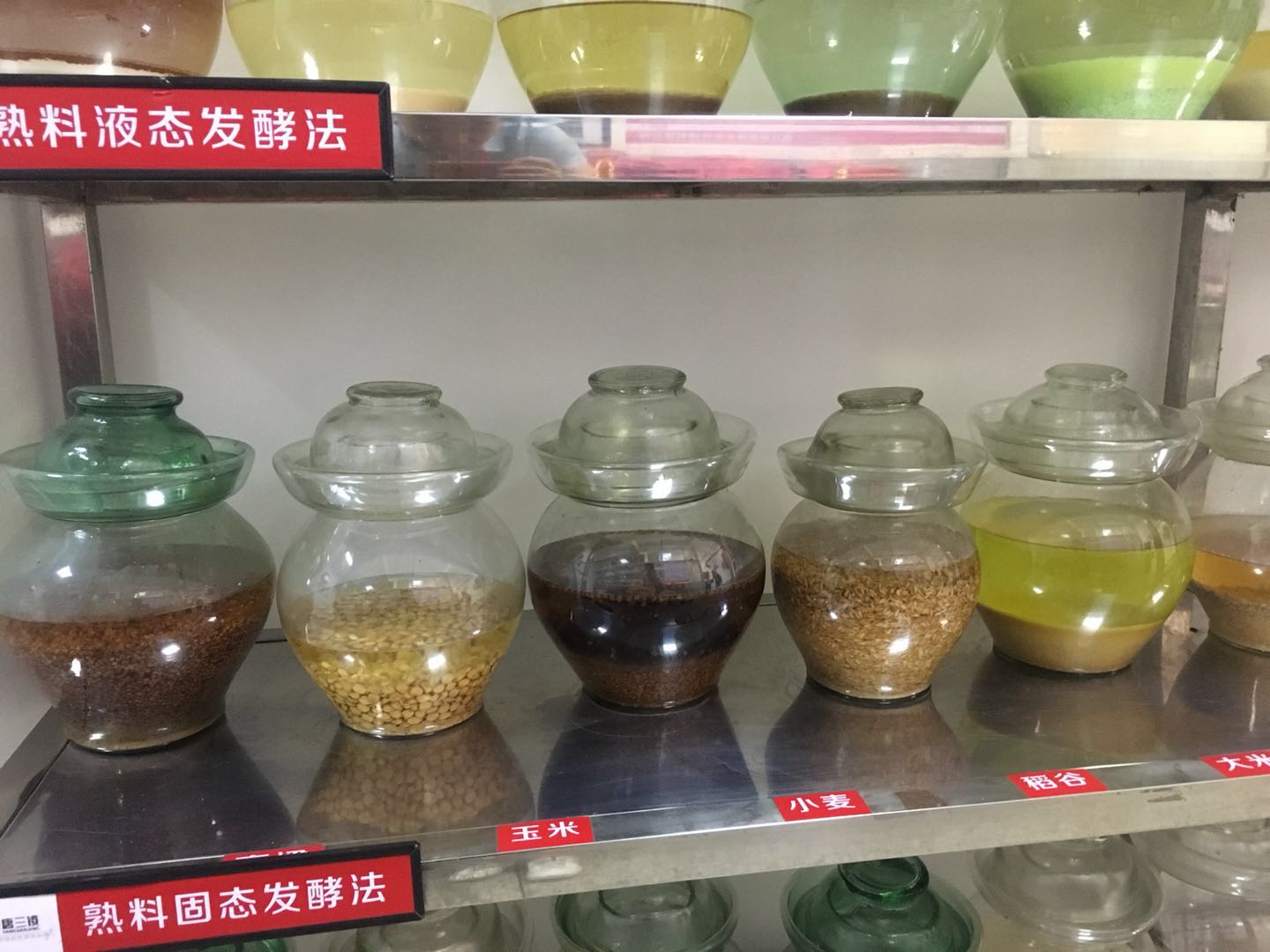 小米酒的做法自酿全过程,小米酒酿酒酒曲