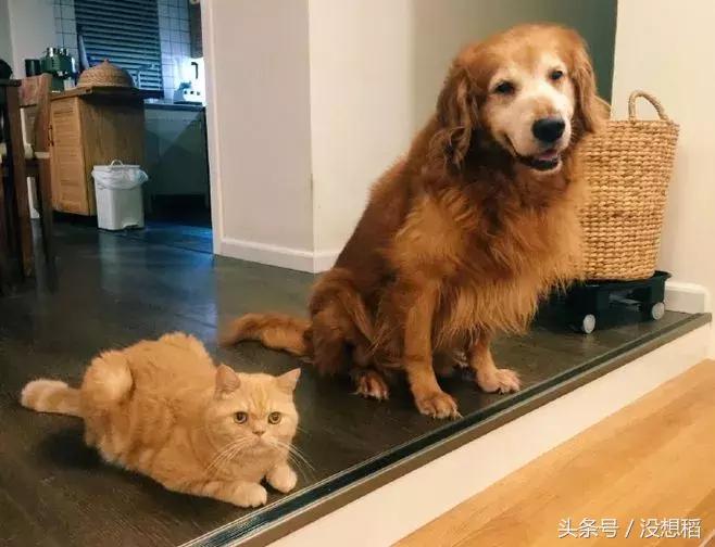 还只喝冷饮过夏天？那你就OUT了！