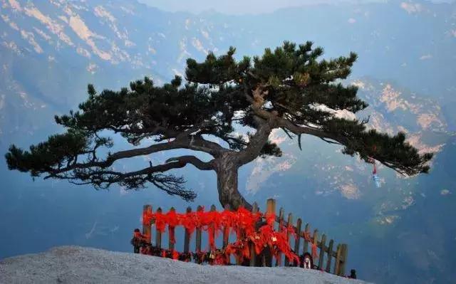 避暑纳凉好去处华山脚下寻仙峪,华山一座灵动的避暑胜地
