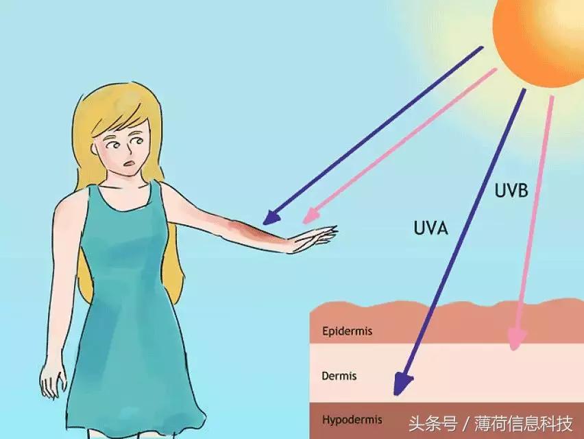 看完这篇,痘痘黑头通通灭掉