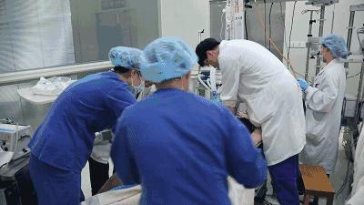 一部豆瓣网评分9.5分的国产电影,一口气看完一部评分9.9的悬疑剧