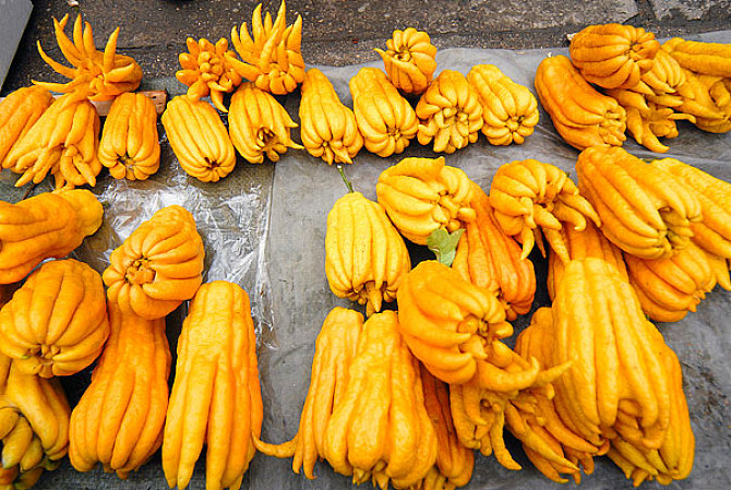 夏天泡水喝护肝的最好东西,什么泡水喝养肝护肝且甘甜