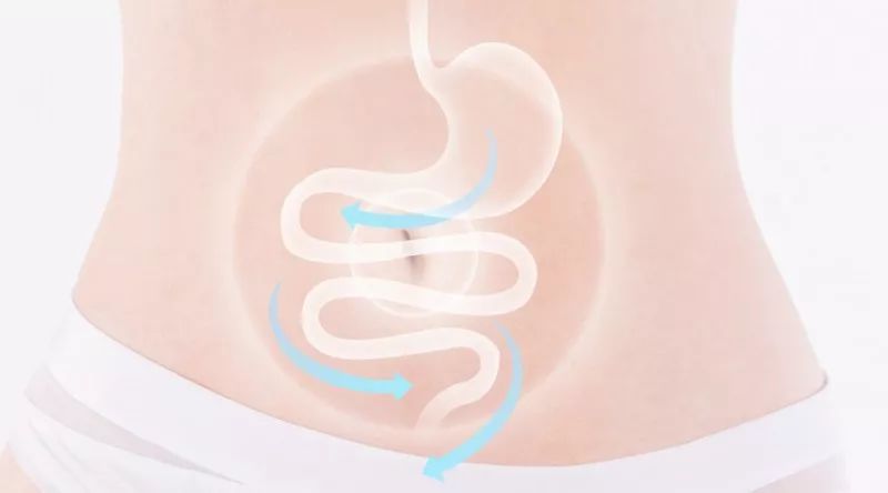 夏治冬病三伏天,三伏冬病夏治好时机