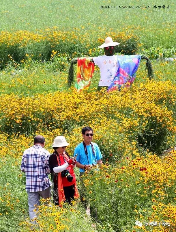 走进伊春的南大门，铁力给你一个不一样的夏天