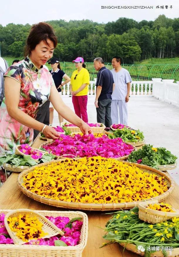 走进伊春的南大门，铁力给你一个不一样的夏天