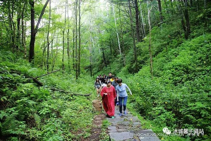 走进伊春的南大门，铁力给你一个不一样的夏天