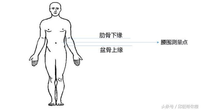 怎么有效的解决脂肪肝,脂肪肝不要慌牢记四点甩掉脂肪肝