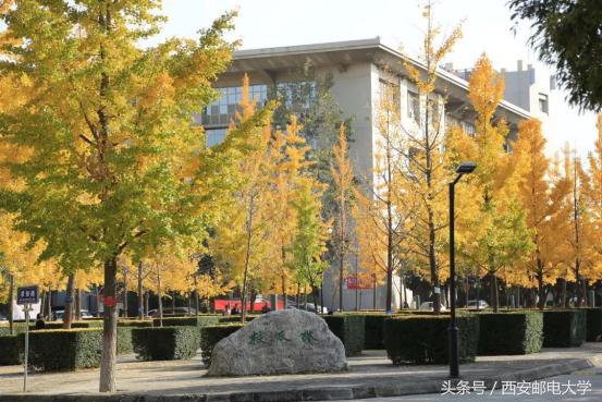 做腊肉,月入24万;卖土豆,年赚6500万!听了他的课,“农民”变“富豪”!