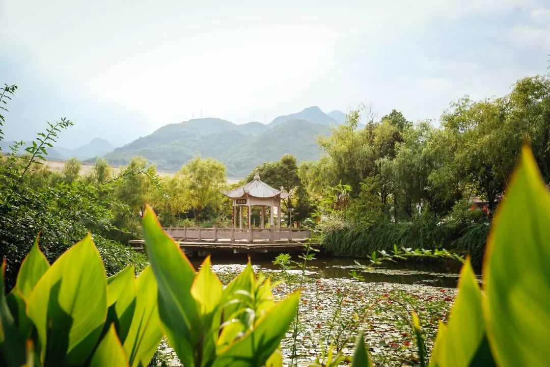 宁波海滨旅游攻略路线推荐,宁波2天1夜旅游推荐秋季