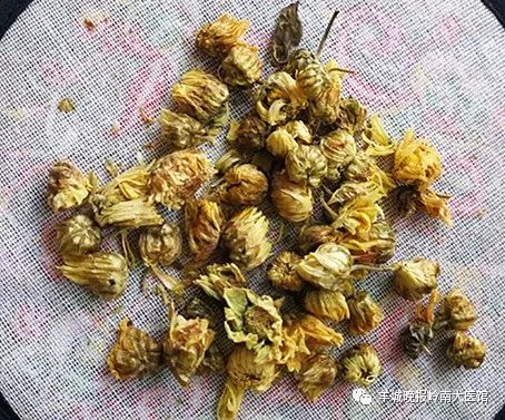 健康锦囊慢性咽炎专家为你来解密,耳鼻喉科慢性咽炎健康宣教