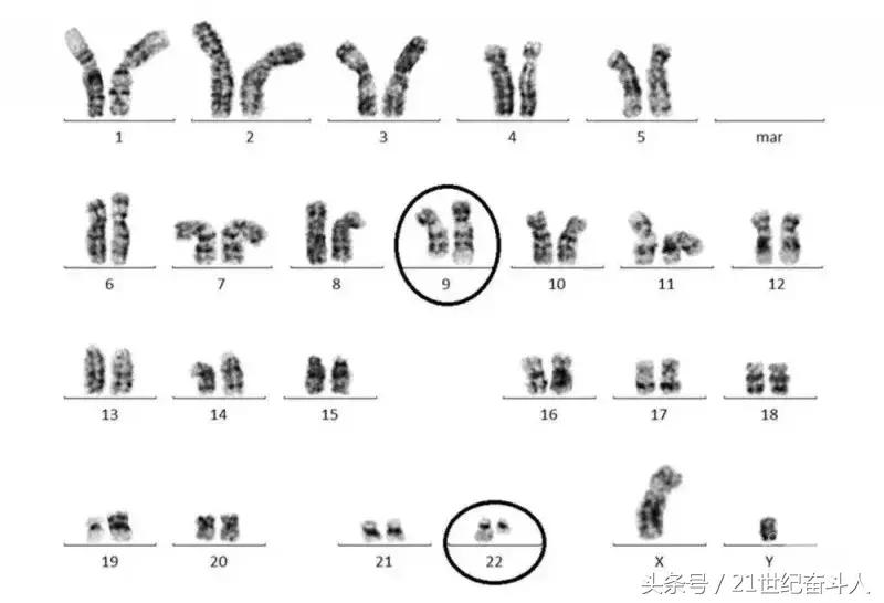 《我不是药神》中的正版格列宁凭什么卖这么贵？