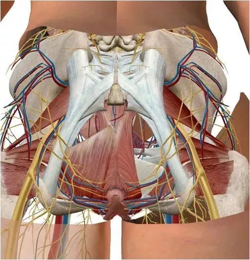 世界首位活体移植的医生,世界第一例小肠活体移植医生