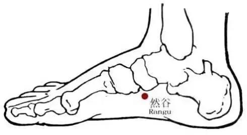 养生保健小知识如何养腿才健康,养生先养腿祛除寒湿百病消