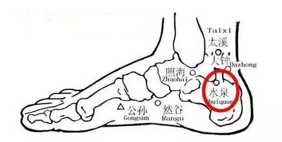 养生保健小知识如何养腿才健康,养生先养腿祛除寒湿百病消