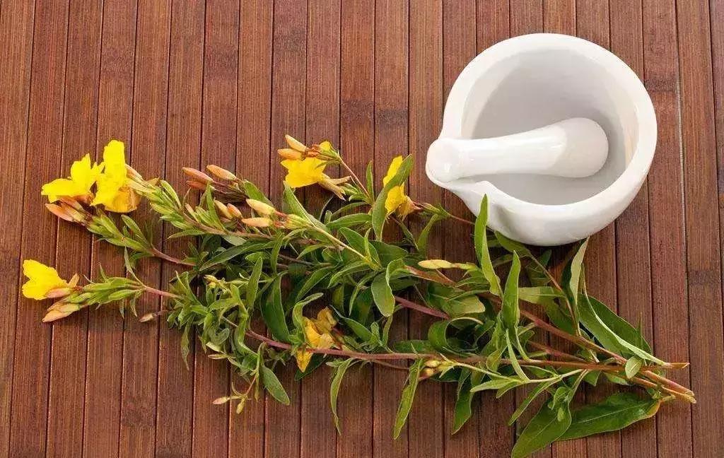 养生保健小知识如何养腿才健康,养生先养腿祛除寒湿百病消