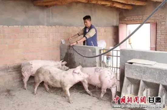 临泽县各乡镇扶贫基地,依靠电商带动脱贫致富