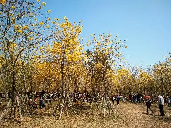 茂名！你究竟还要被嘲笑多久？
