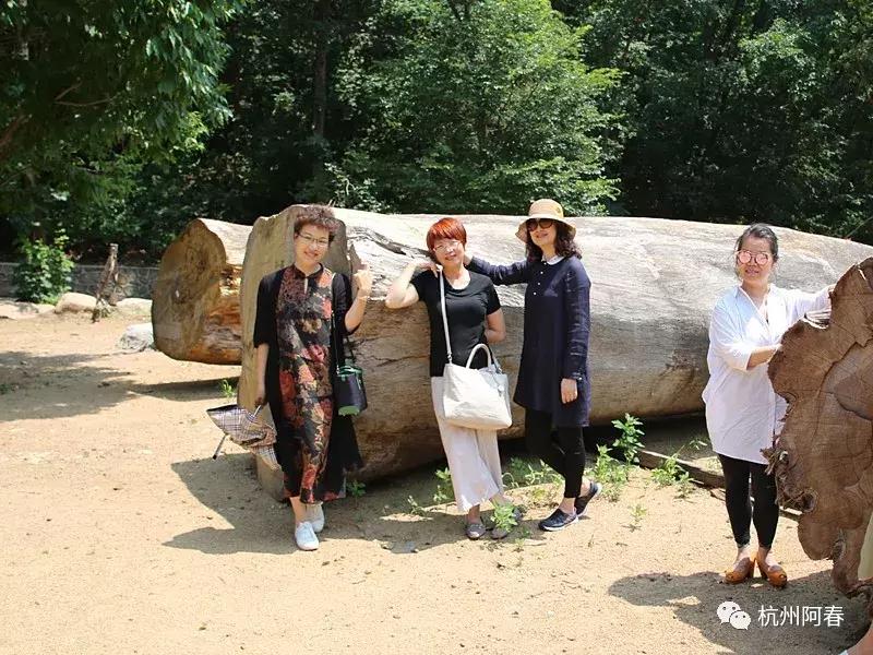 神游生态馆,抚顺新宾猴石森林公园天气预报