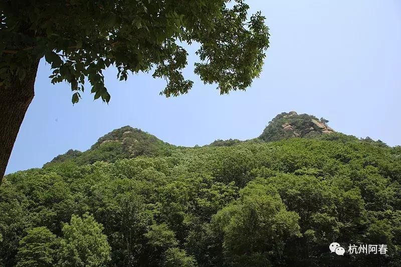 神游生态馆,抚顺新宾猴石森林公园天气预报