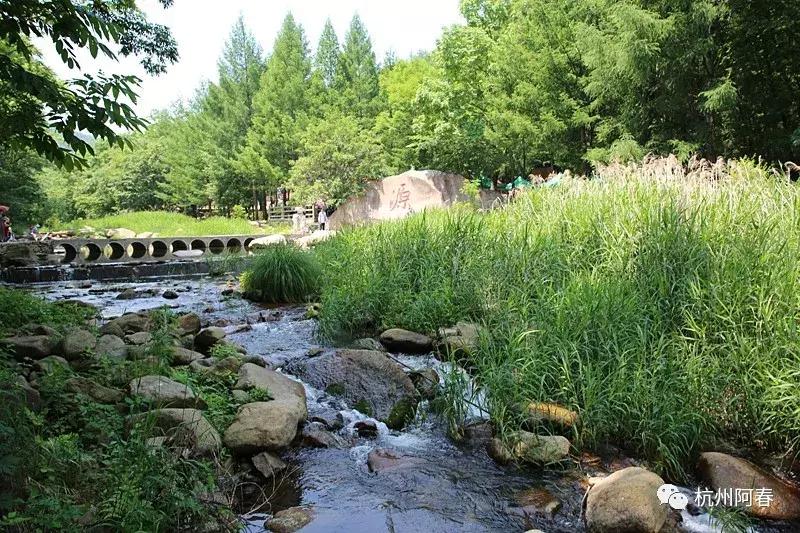 神游生态馆,抚顺新宾猴石森林公园天气预报