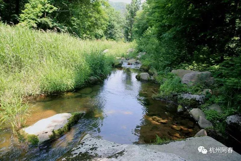 神游生态馆,抚顺新宾猴石森林公园天气预报