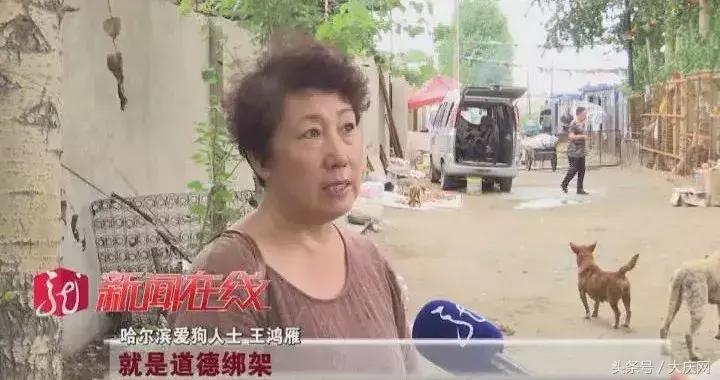 哈尔滨杀狗事件,哈尔滨惊现杀狗敲诈宠物店