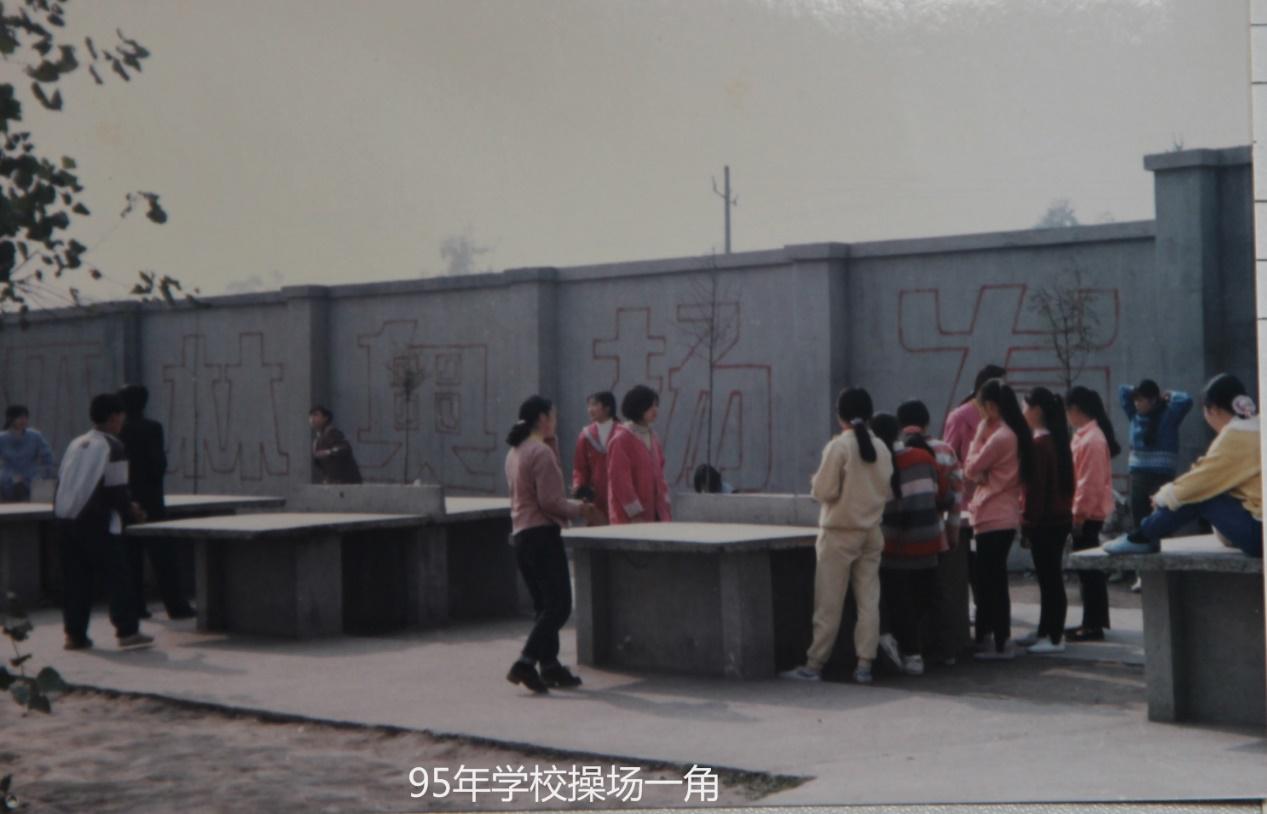 记录见证成长的每一个瞬间,见证记录还应记录哪些内容