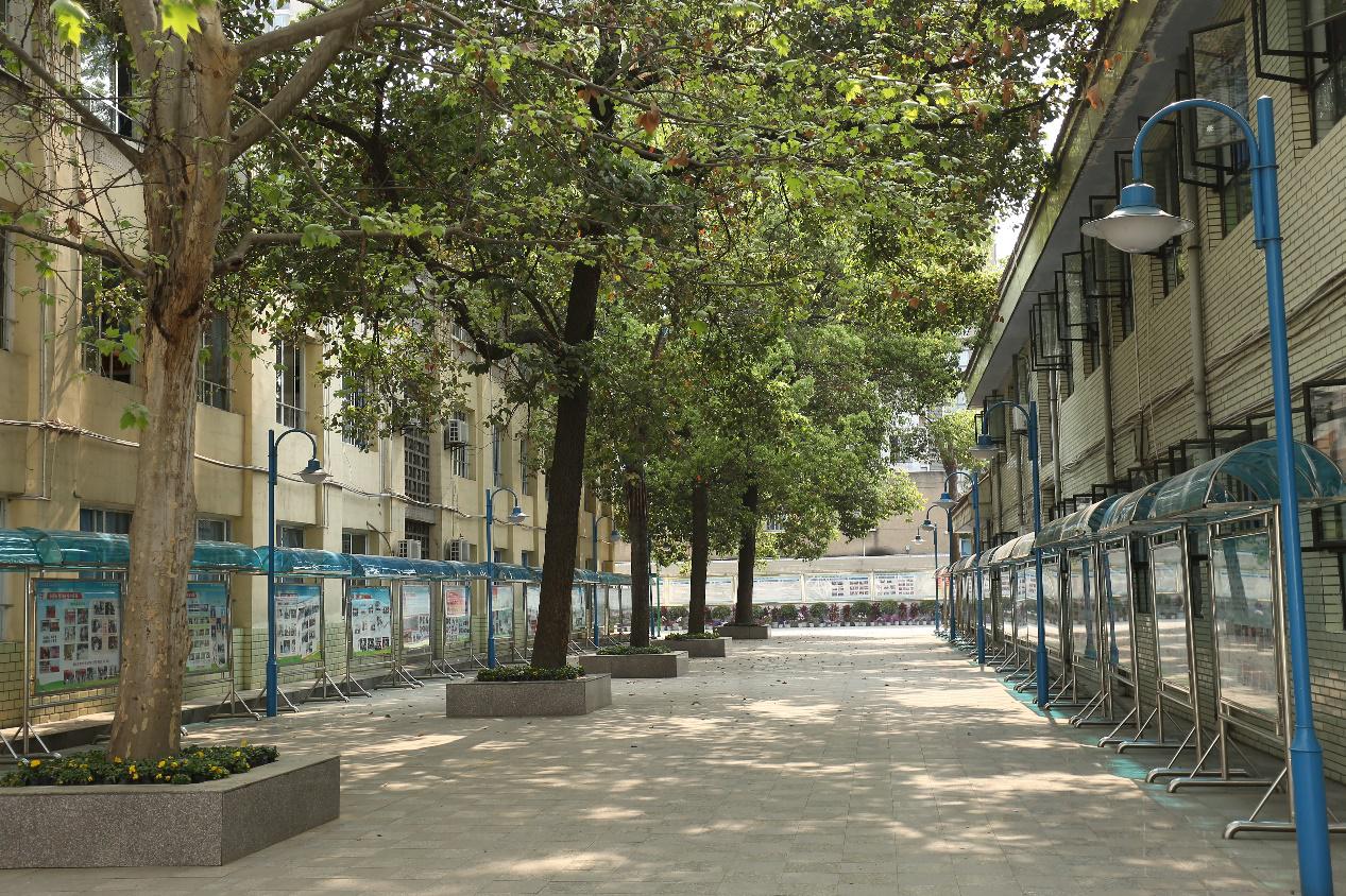 记录见证成长的每一个瞬间,见证记录还应记录哪些内容