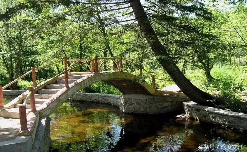 从黑A到黑P黑龙江城市名片大PK最能代表你家乡的是……