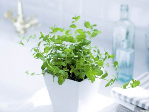 阳宅风水禁忌及讲解大全,阳宅风水入门十大禁忌