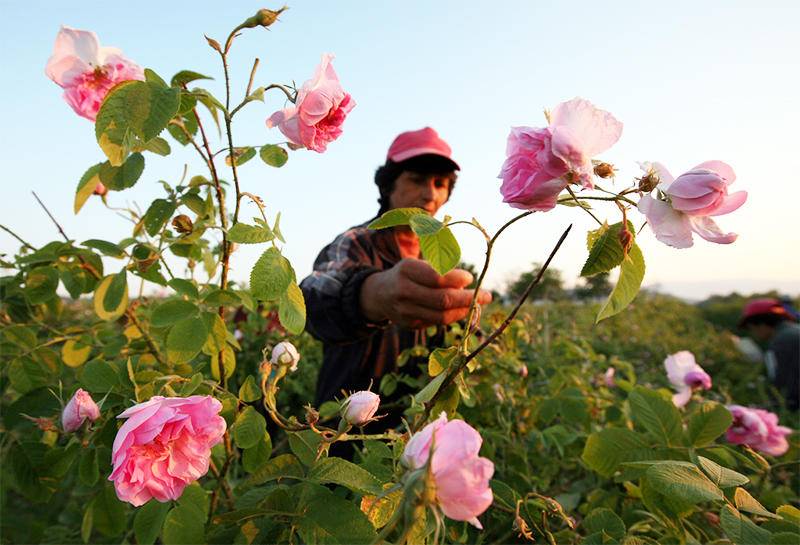 护肤界的万金油，精油认识一下