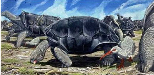 七种真实存在的史前动物,史前十大动物进化史