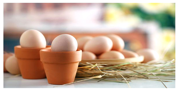 葡萄籽胶囊可以和鱼油一起吃吗,鱼油和葡萄籽胶囊哪个好