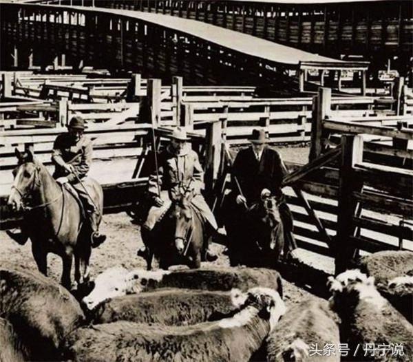 redwing红翼靴,红翼工装靴哪双值得买