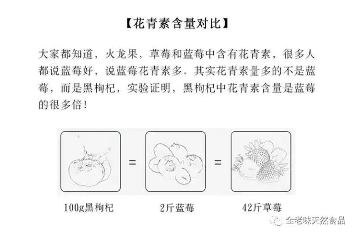 黑枸杞小贴士,黑枸杞真有这么好吗