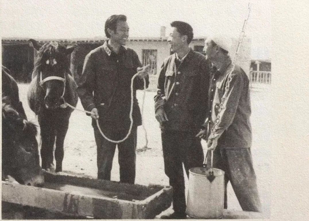 灵与肉电视剧导演,灵与肉电视剧简介