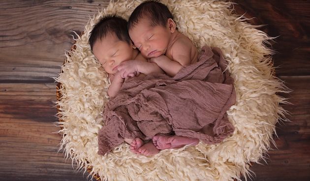 试管婴儿资讯最多的话题,试管的相关资讯