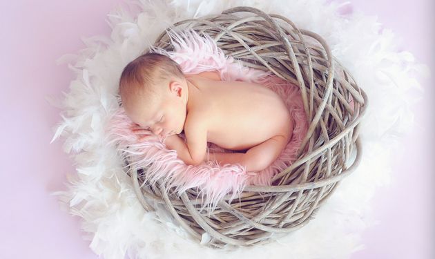 试管婴儿资讯最多的话题,试管的相关资讯