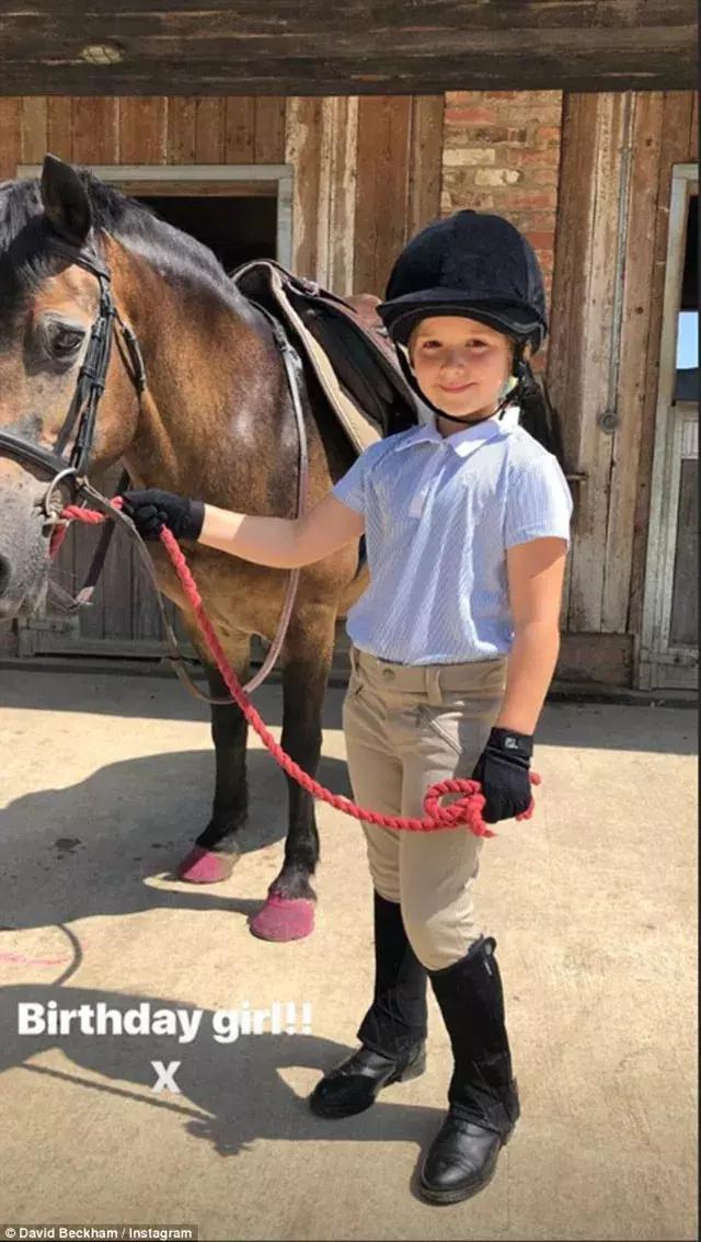 贝小七2019生日,贝小七生日送什么礼物