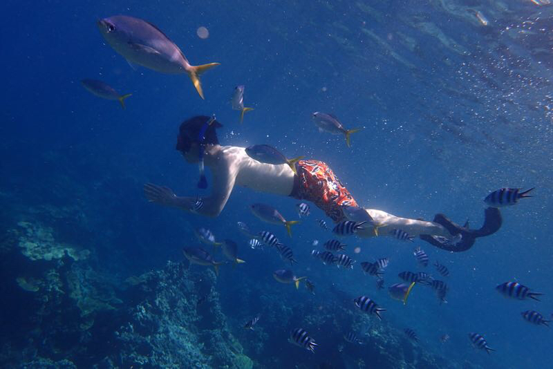 帕劳海岛游哪最好,帕劳海岛必去景点