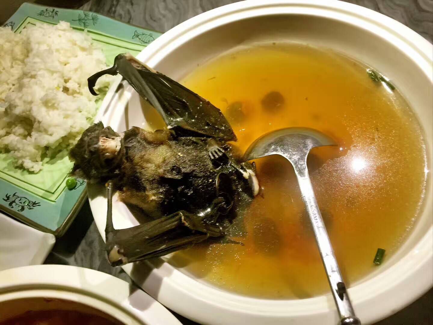 帕劳海岛游哪最好,帕劳海岛必去景点