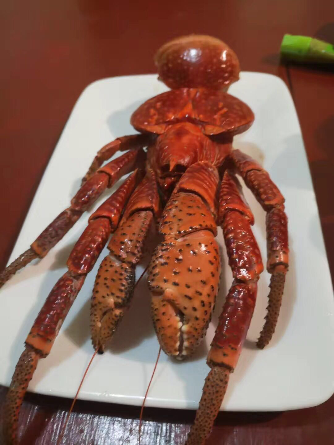 帕劳海岛游哪最好,帕劳海岛必去景点