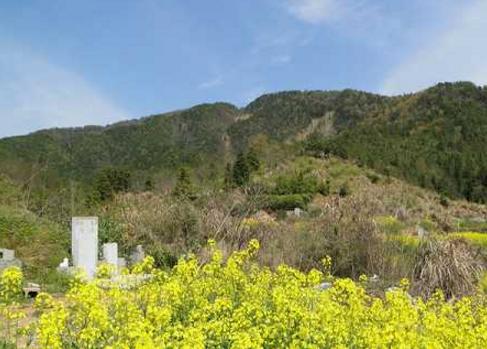 墓地风水图解龙脉 (墓地风水龙脉在什么地方)