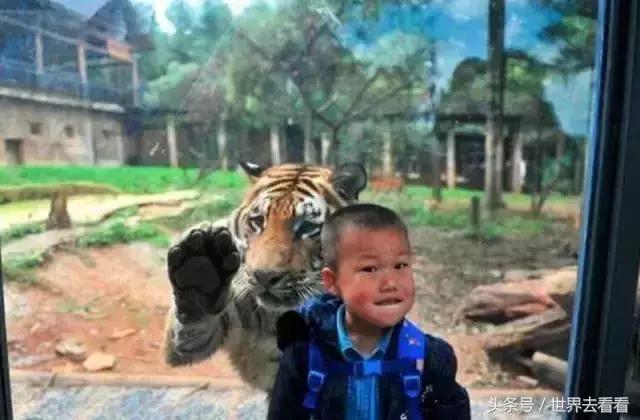 云南的玻璃栈道,云南最高的玻璃栈道在哪里