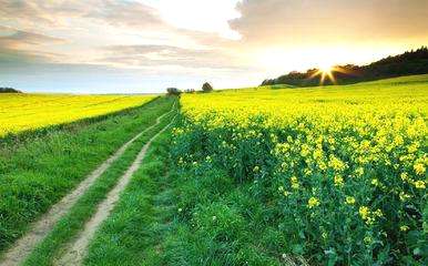 戒毒所情况说明,毒品戒毒所是怎样戒毒的